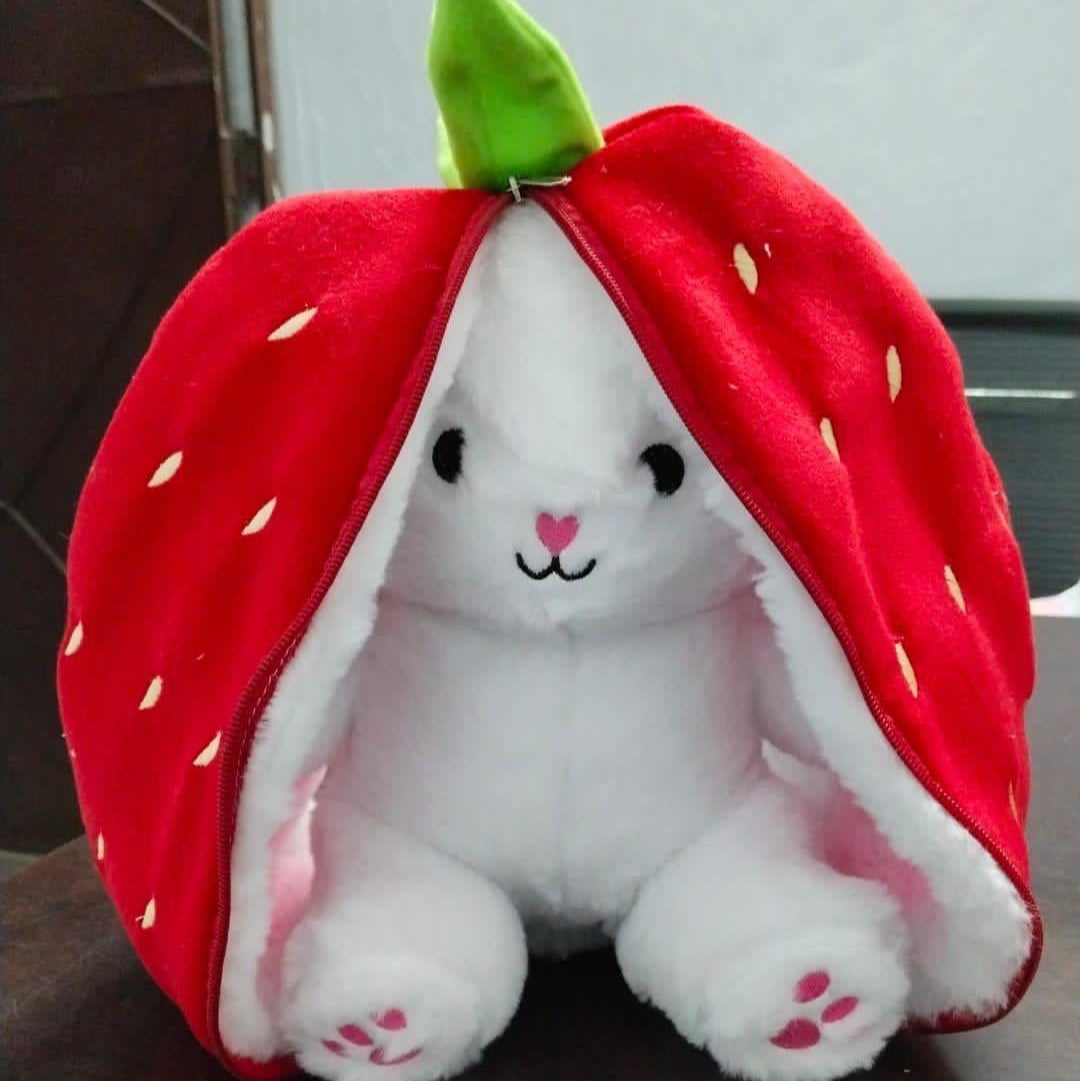 Bunny Plush Toy