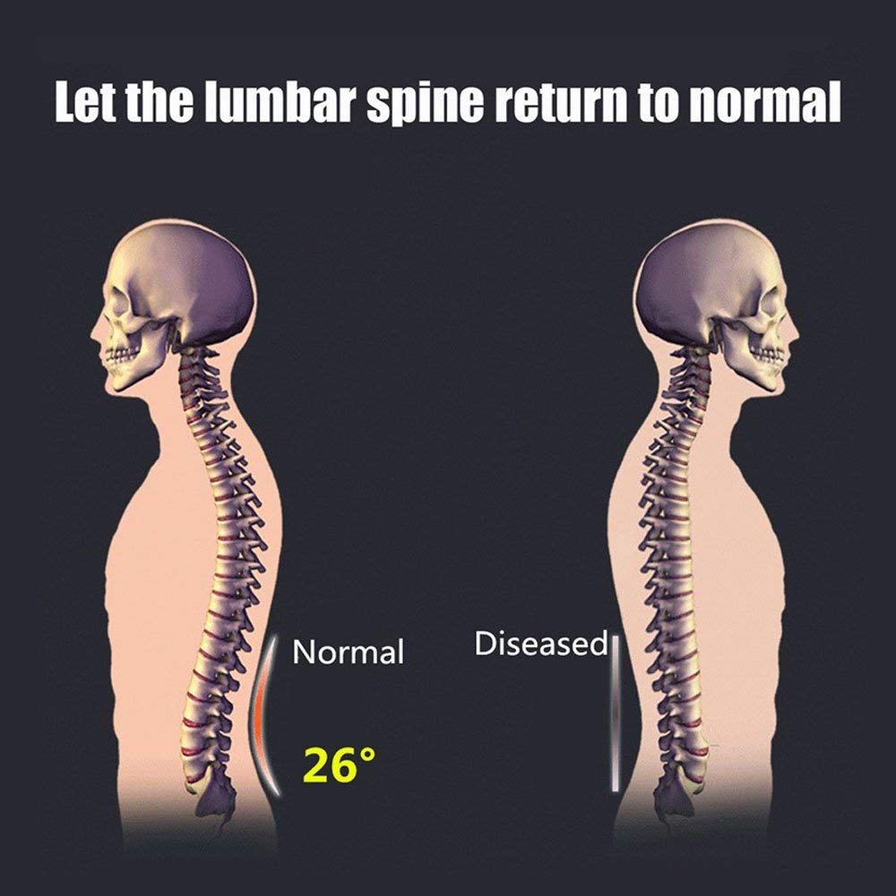 Adjustable Back Stretcher Pro