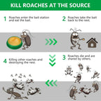 Cockroach Killer Gel (Pack of 24)