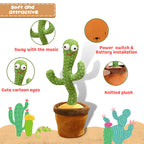 Dancing Cactus Toy