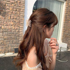 Korean Trendy Butterfly Clutcher (Pack of 4)