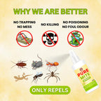 Pure Mite Spray (Pack of 2)