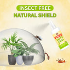 Pure Mite Spray (Pack of 2)